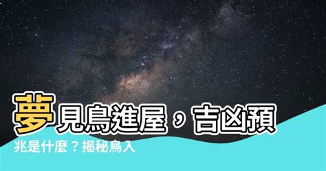 夢見鳥飛進房間|夢見鳥飛進家裡是什麼意思